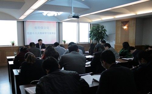 省擔(dān)保公司組織集中學(xué)習(xí)黨的十八大報告