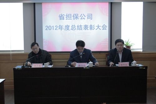 公司召開2012年度總結表彰會議(圖1) 公司召開2012年度總結表彰會議