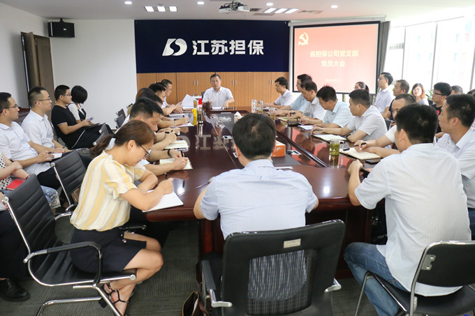 省擔(dān)保公司召開黨總支第一次黨員大會(圖1) IMG_2251_副本.jpg